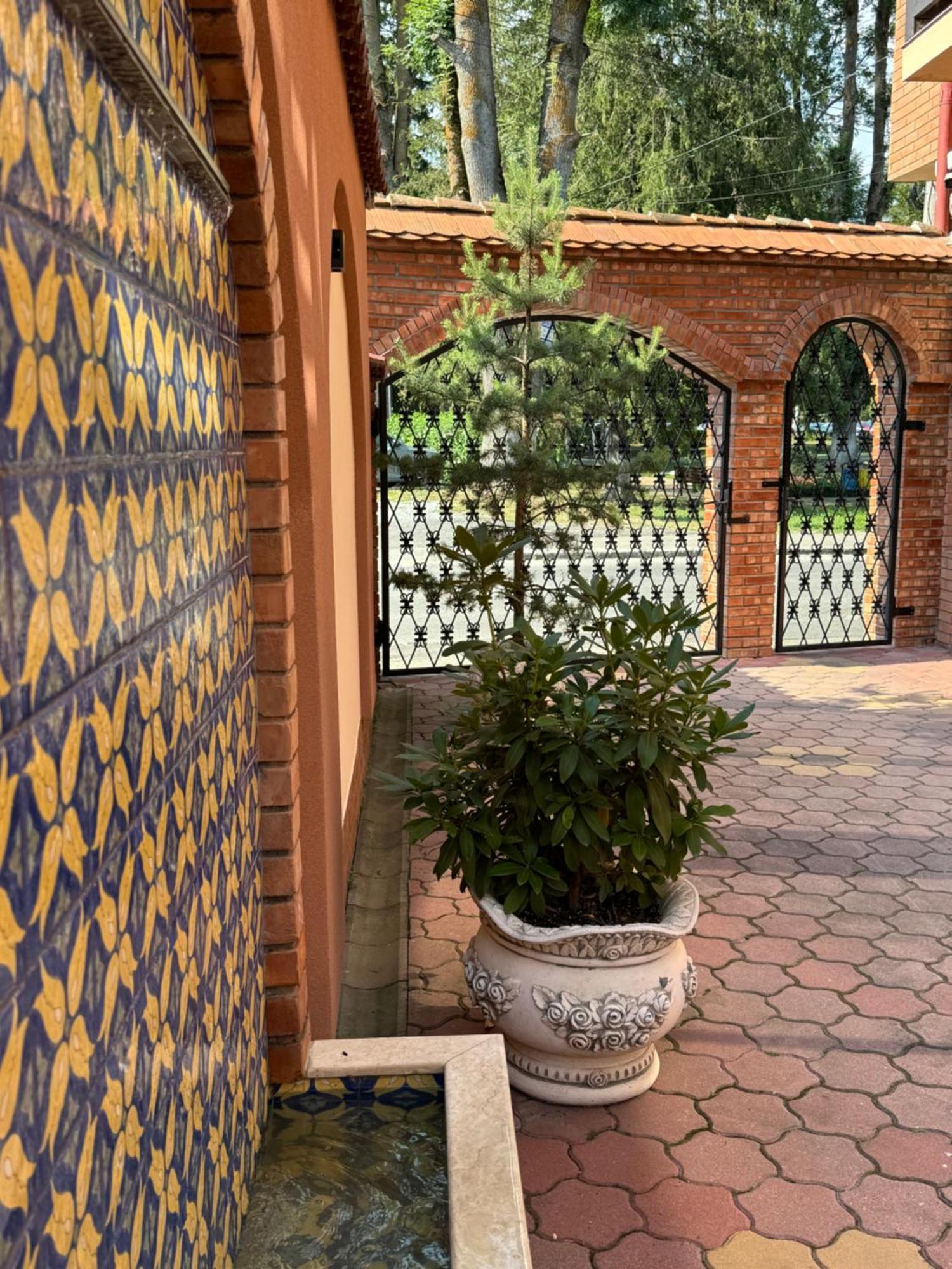 Vila Luminita سانجورز باي المظهر الخارجي الصورة